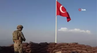 Şırnak'ta tedavisi tamamlanan kuşlar doğaya bırakıldı