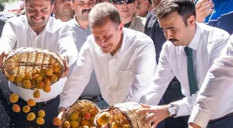 Vahap Seçer, '60. Mut Karacaoğlan Kayısı Kültür ve Sanat Festivali'ne Katıldı