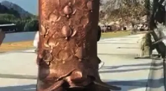 Environmental monument built in memory of 'Captain June, Mother of Carettas'