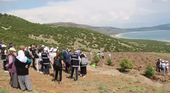 Salda Gölü Üzerindeki Araziye 300 Adet Köknar ve Ardıç Fidanı Dikildi