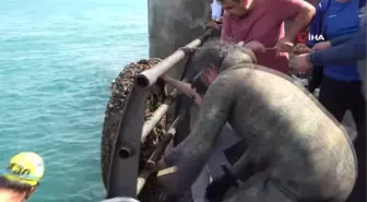 Üsküdar'da denizde ve karada çevre temizliği