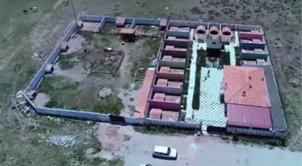 Aksaray malaklısı yurt dışında tanıtıldı