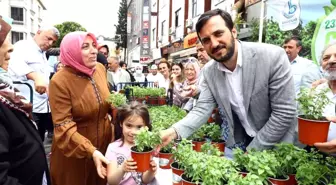 Bağcılar'ı fesleğen kokusu sardı