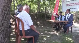 Fındık üreticileri daha yüksek verim ve kalite için 'Bahçe Okulu'nda