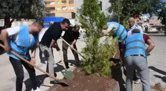 Hayvanseverler çevre gününde ağaç dikti