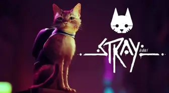 Stray sistem gereksinimleri neler? Stray kaç GB? Stray kaç TL?