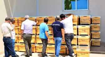 Yangınzede üreticilere arı kovanı desteği