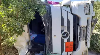 Yoldan çıkan tır meyve bahçesine devrildi, sürücü hayatını kaybetti