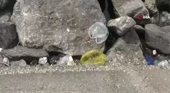 Zeytinburnu'nda hafta sonu sahildeki parkta vakit geçiren vatandaşlardan geriye çöpler kaldı