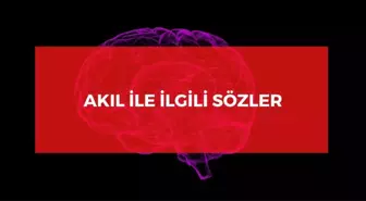 Akıl ile ilgili sözler 2024: Anlamlı akıl ile ilgili kısa sözler! Akıl sözleri!