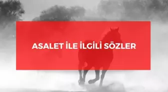 Asalet ile ilgili sözler 2022: Anlamlı asalet ile ilgili kısa sözler! Asalet sözleri!