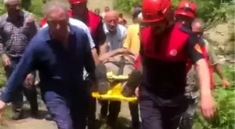 Kestiği ağacın altında mahsur kaldı