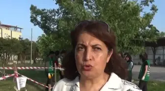 Sinop'ta Organik Atıklar, Toprağı Yeşertecek