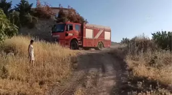 KAHRAMANMARAŞ - Aracın motor bölümüne sıkışan kedi yavrusunu itfaiye kurtardı