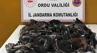 Ordu'da telefon kablosu hırsızları tutuklandı