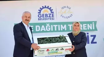 Gebzeli çiftçilere fide desteği