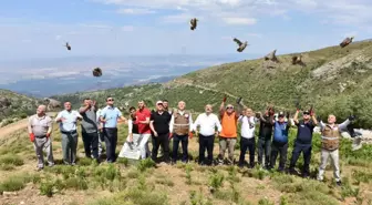 Manisa'da 250 kınalı keklik doğaya salındı