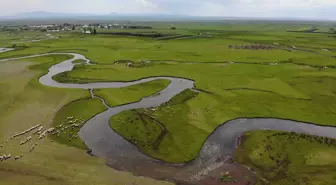 Kars'tan doğuyor Hazar Denizi'ne dökülüyor