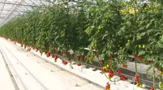 'Seracılık Mükemmeliyet Merkezi' tanıtım toplantısı yapıldı