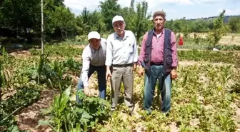 Simav'da sebze ve meyveler sağanak yağmur ve doludan zarar gördü