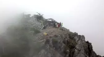 Tanıştıkları zirve nikah masaları oldu