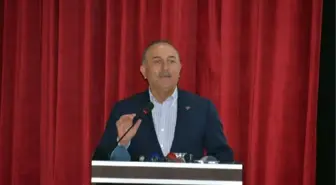 Bakan Çavuşoğlu Bingöl'de (2)