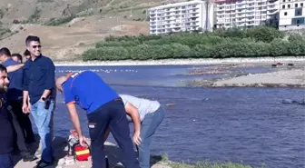 Van Gölü kıyısında erkek cesedi bulundu