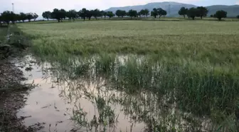 Afyonkarahisar'da sağanak tarım arazilerine zarar verdi