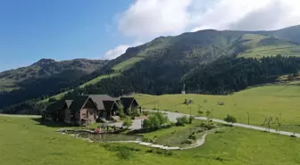Giresun'un doğa harikası yaylalarında turizm hareketliliği başladı