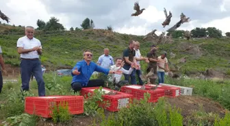 Osmaniye'de yangından zarar gören ormanlara 1000 keklik salındı