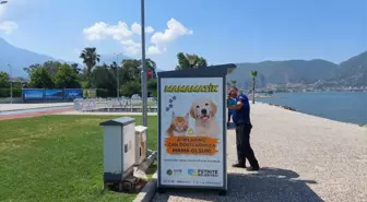 Fethiye Belediyesi'nden Sokak Hayvanları İçin 'Mamamatik'