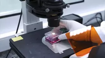 SMA tedavi ücreti ne kadar? SMA ilacı ne kadar? SMA tedavisi neden pahalı? SMA tedavisi var mı?