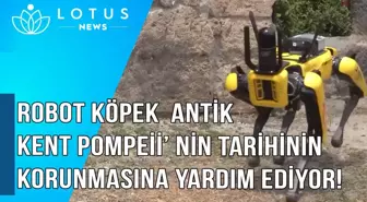 Video: Yüksek Teknolojili Robot Köpek, Antik Kent Pompeii'nin Mirasını Korumaya Yardımcı Oluyor