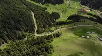 Gümüşhane'de yayla göçü başladı