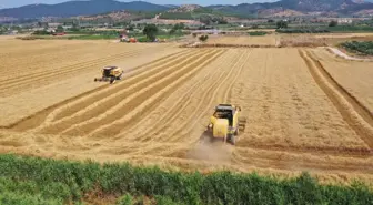 Torbalı Belediyesi Buğday Hasadına Başladı