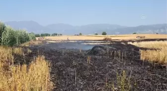 Buğday tarlalarında çıkan yangın söndürüldü