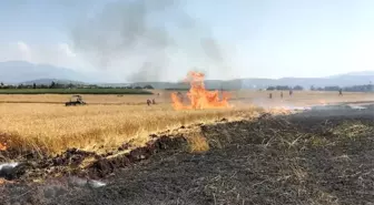 Osmaniye'de 10 dönüm buğday tarlası yandı