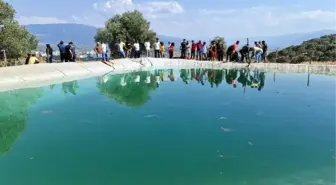 Aydın'da sulama havuzuna giren iki arkadaş boğuldu