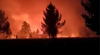 İspanya'da orman yangınlarına müdahale sürüyor