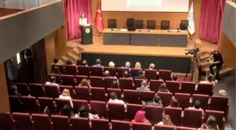 İstanbul Barosu: Kapasitesi olmayan belediyeler hayvanları ölüme terk etti