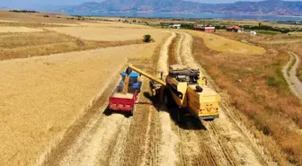 Elazığ'da yılın ilk arpa hasadı gerçekleştirildi