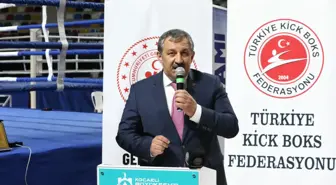 Türkiye Kick Boks Şampiyonası, Kocaeli'de başladı