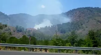 Köyceğiz'de orman yangını