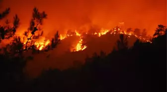 Marmaris'teki yangının çıkış nedeni araştırılıyor! Sabotaj ihtimalinin yüksek olduğu belirtildi