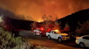 Marmaris'teki orman yangınının çıkış sebebiyle ilgili sabotaj ihtimali üzerinde duruluyor