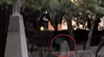 Mezarlıkta ürküten manzara! Doğumda ölen kadının hayaleti bebeğinin mezarına eğiliyor