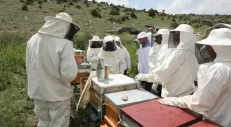 Odunpazarı Belediyesi'nden Arıköy'de Uygulamalı Arıcılık Eğitimi