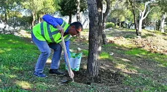 İzmir Büyükşehir, Organik Atıkları Gübreye Dönüştürüyor