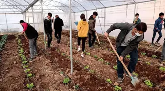 Mardin'de meslek lisesinde uygulamalı tarım eğitimi