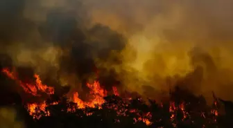 Marmaris'teki yangın henüz kontrol altına alınamadı! Tedbir amaçlı bazı evler tahliye edildi